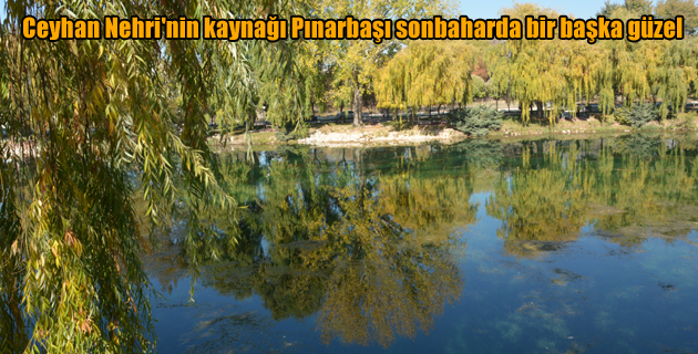 Ceyhan Nehri’nin kaynağı Pınarbaşı sonbaharda bir başka güzel