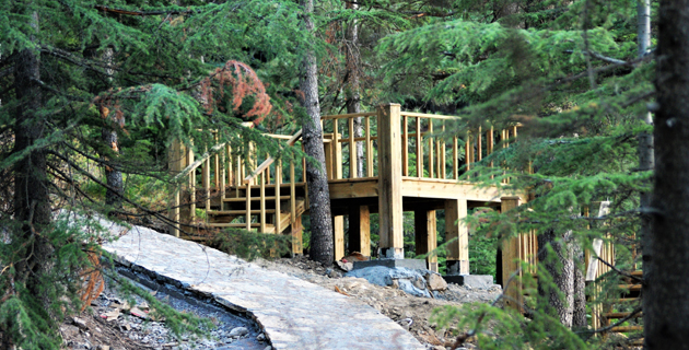 Doğaseverlerin huzur bulduğu adres: Yavşan Yaylası