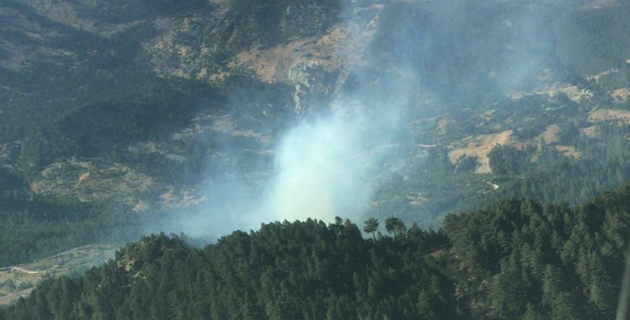 Kahramanmaraş’ta 4 hektar ormanlık alan yandı
