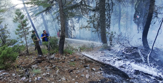 Kahramanmaraş’ta çıkan orman ve örtü yangını söndürüldü