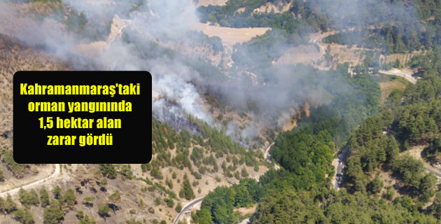 Kahramanmaraş’taki orman yangınında 1,5 hektar alan zarar gördü