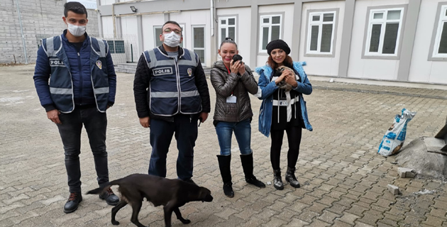 Kahramanmaraş’ta polis ekipleri sokak hayvanlarını unutmadı