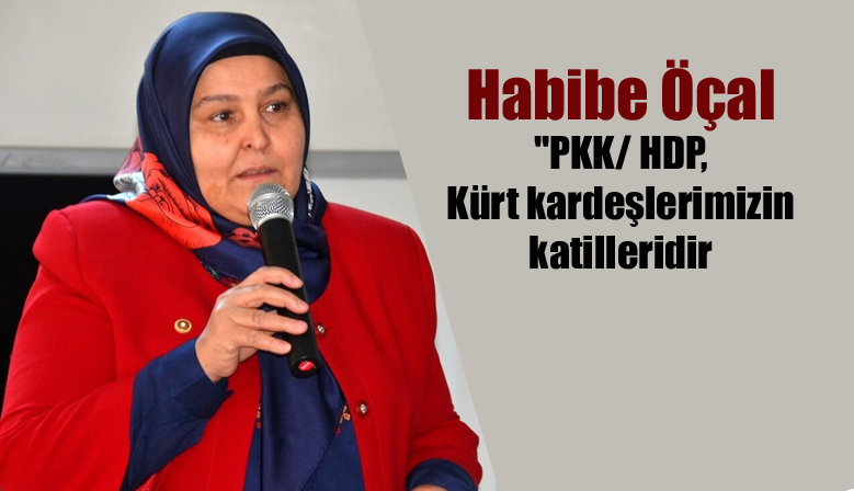 Habibe Öçal PKK/ HDP, Kürt kardeşlerimizin katilleridir