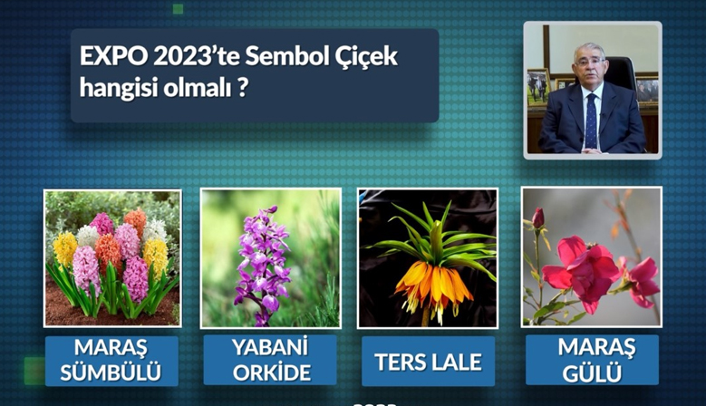 Mahçiçek, Vatandaşların Oylarıyla EXPO 2023 Sembol Çiçeğini Belirliyor
