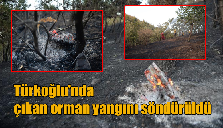 Türkoğlu’nda çıkan orman yangını söndürüldü