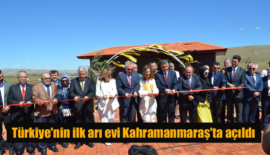 Türkiye’nin ilk arı evi Kahramanmaraş’ta açıldı