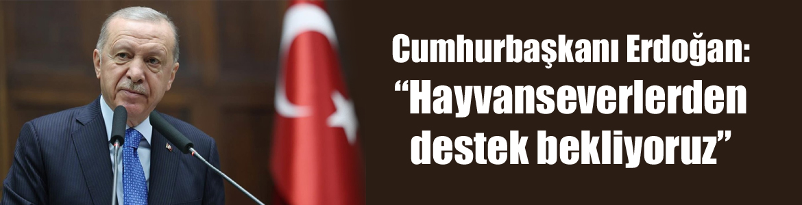 Cumhurbaşkanı Erdoğan: “Hayvanseverlerden destek bekliyoruz”