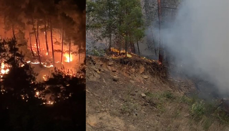 Kahramanmaraş’ta Orman Yangını Büyüyor