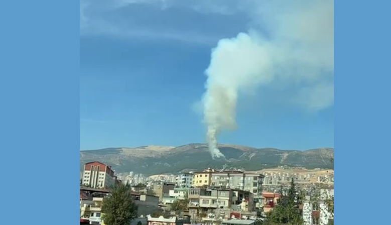 Kahramanmaraş’ta Orman Yangını