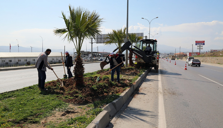 Kahramanmaraş’ta Yeşil Doku Güçleniyor