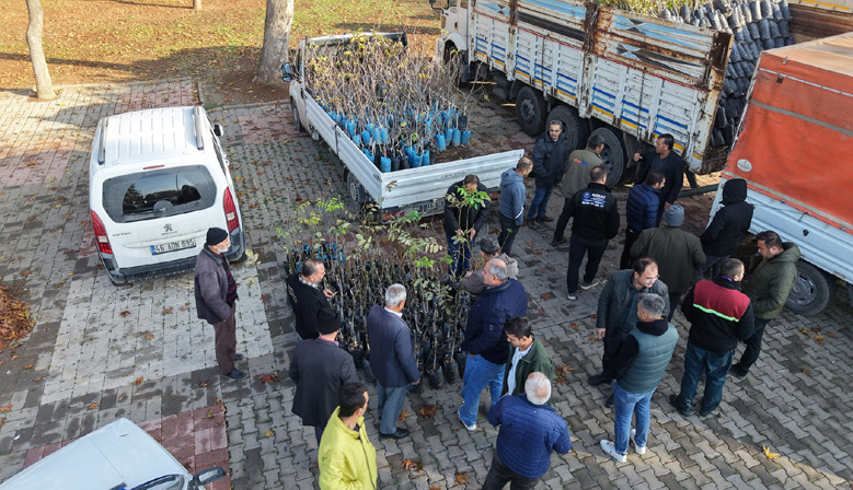 Kahramanmaraş’ta Bin 500 Üreticiye 193 Bin Adet Fidan Desteği