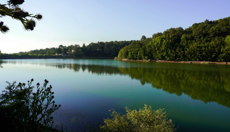 Su ve Orman: Doğanın, Refahın ve Eşitliğin Temel Taşları