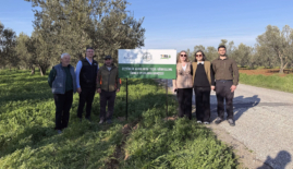 Ezine Zeytin Bahçelerinde Doğa Temelli Çözüm