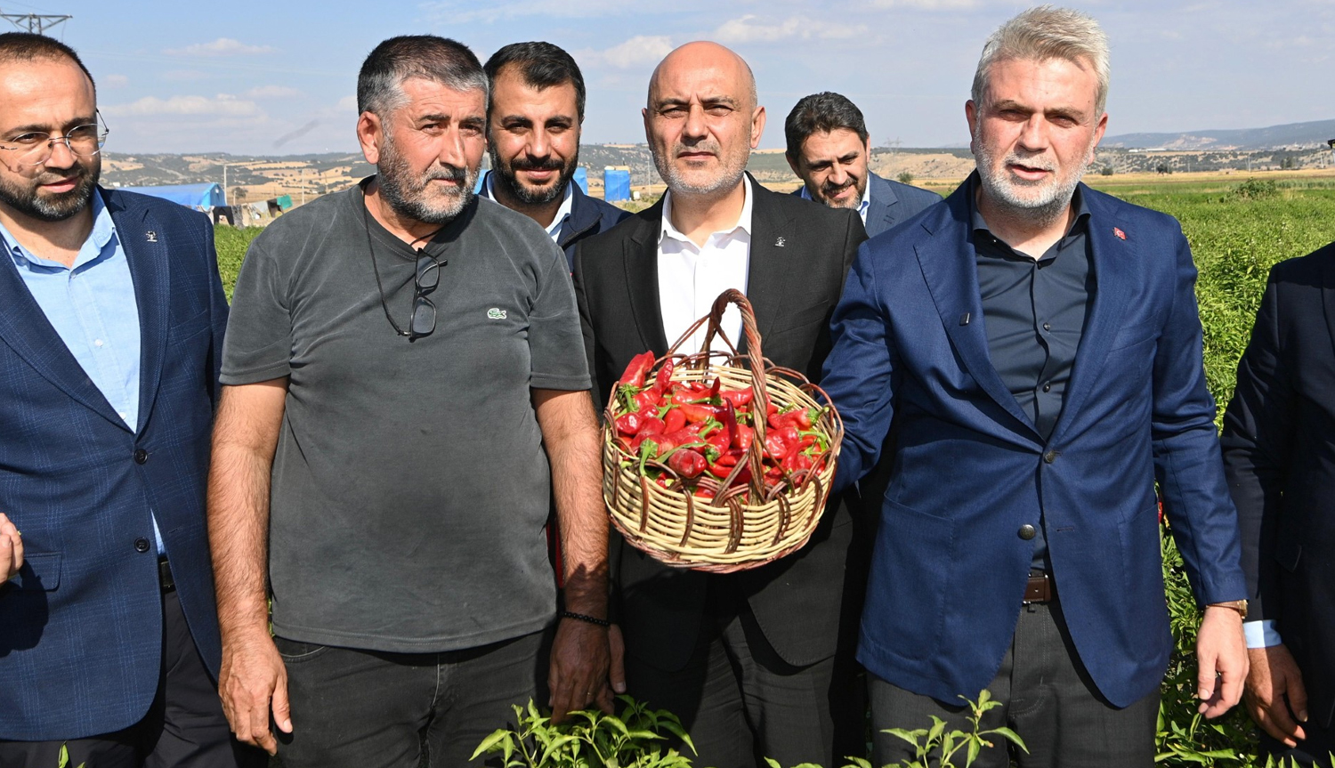Kahramanmaraş’ta biber hasadı