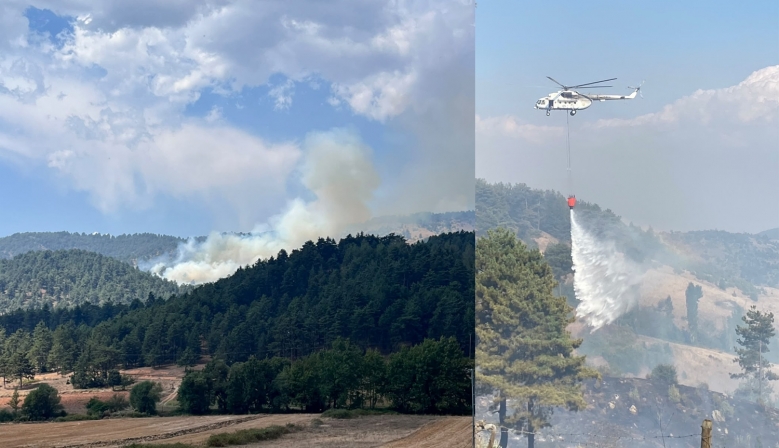 Kahramanmaraş’ta çıkan orman yangını kontrol altına alındı